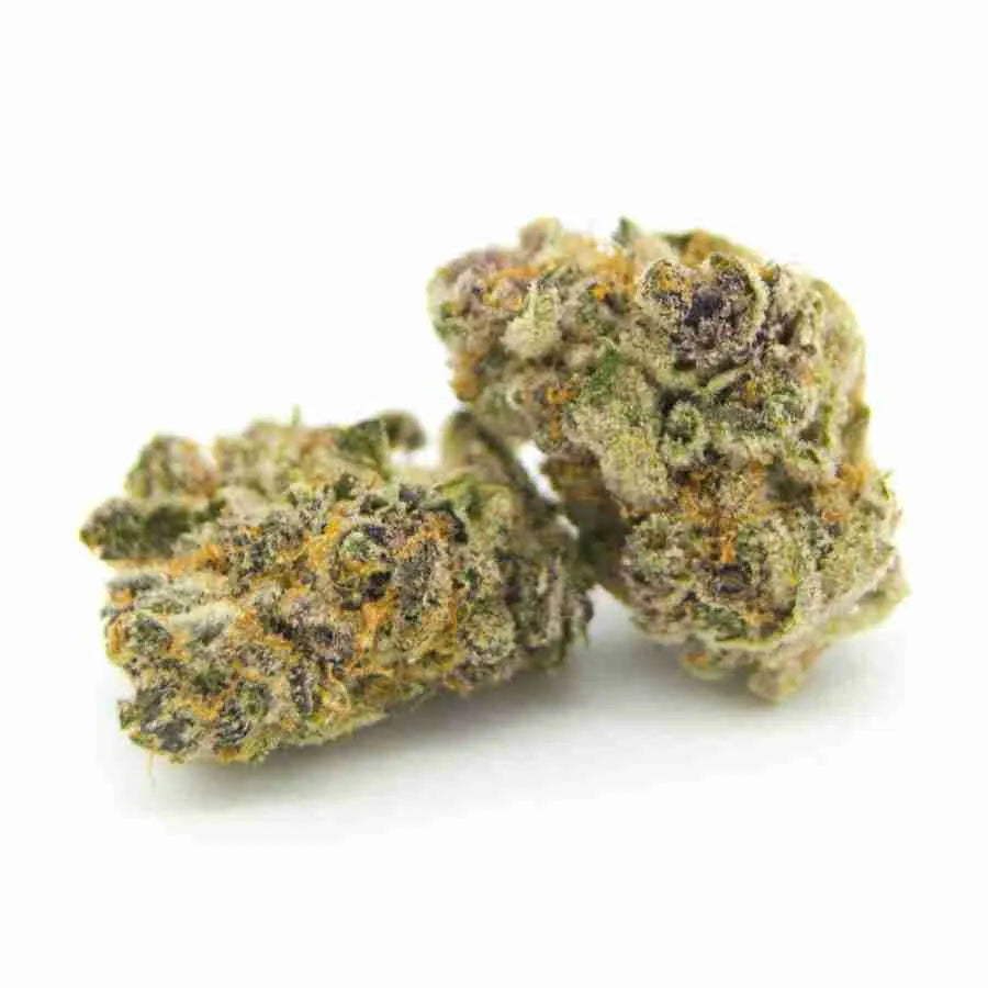 Indica