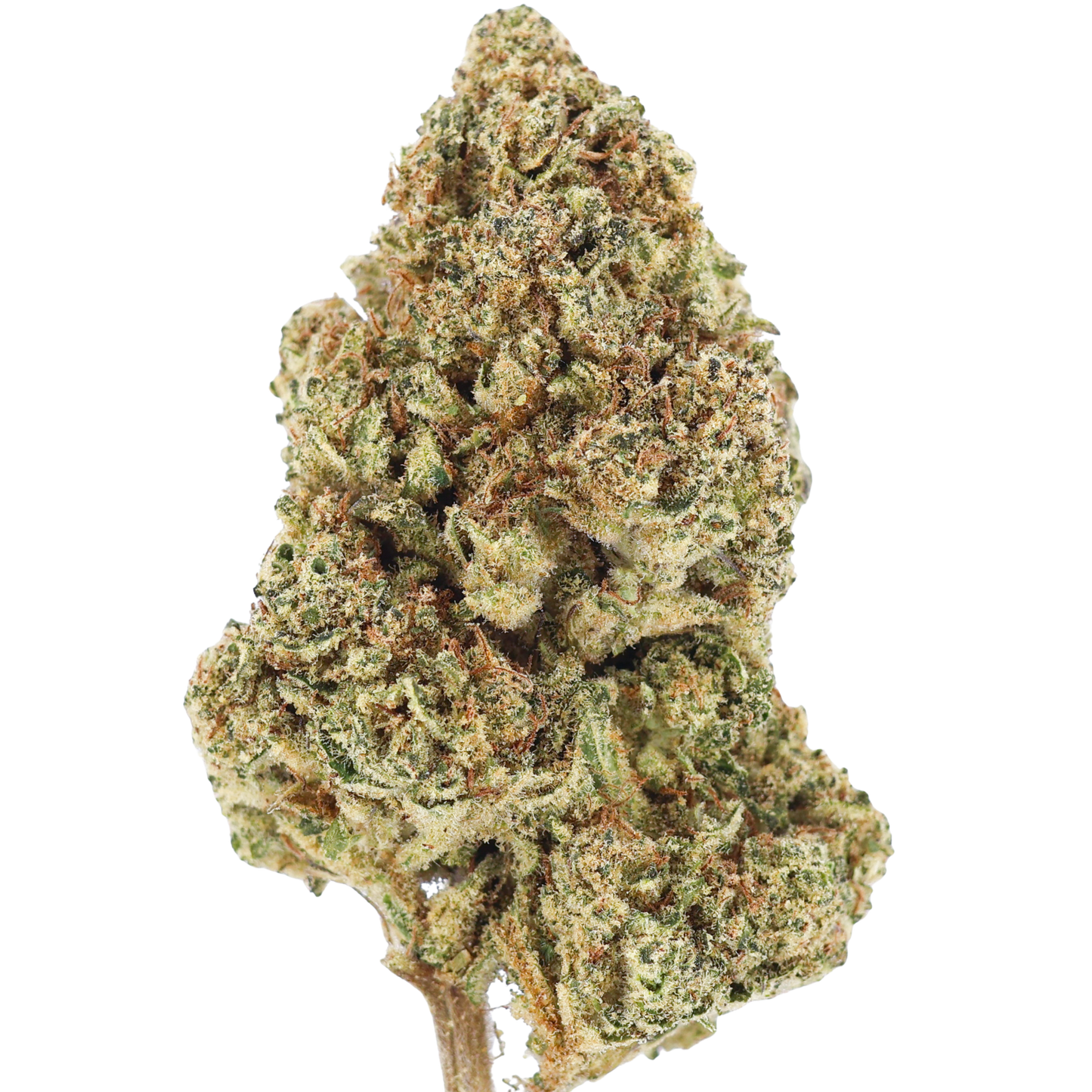 Rozé (Sativa) 26%